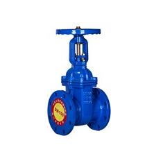 Z41T 防爆明桿閘閥